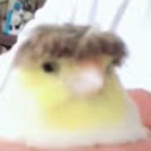 Meet your Posher, That guy